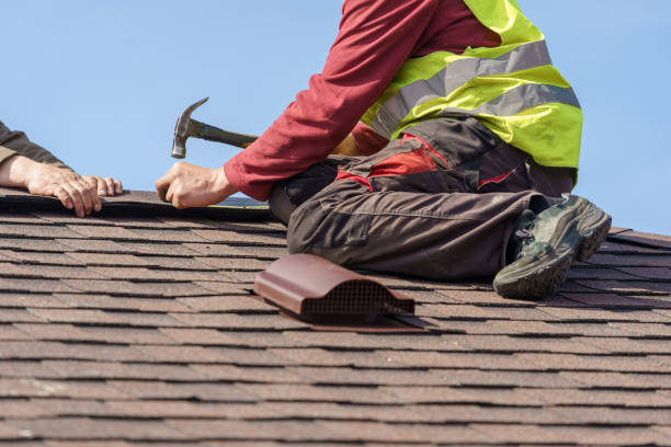 Best Roof Replacement Cost  in Scotland Neck, NC