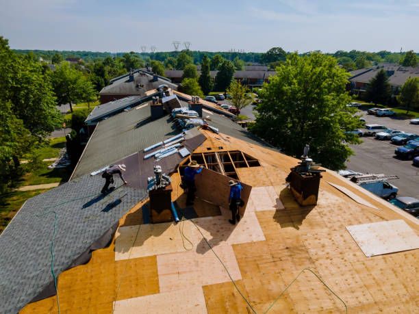 Best Commercial Roofing Services  in Scotland Neck, NC