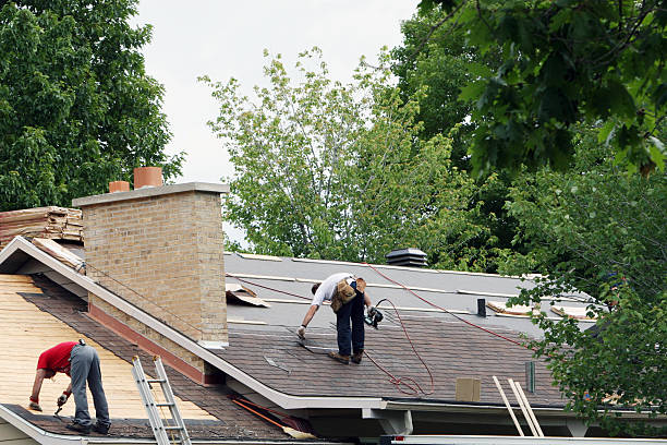 Quick and Trustworthy Emergency Roof Repair Services in Scotland Neck, NC